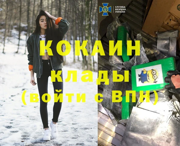 крисы Алексин